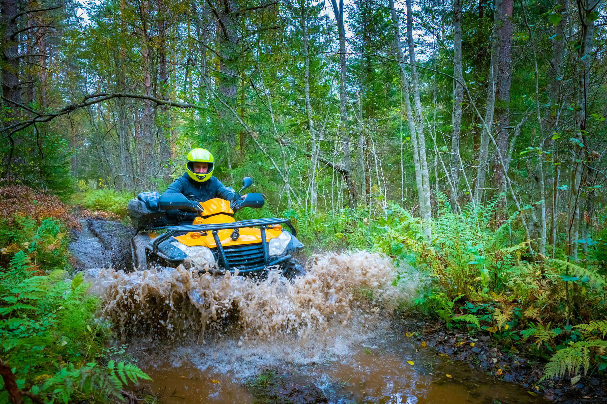 Springfield, Albany, Salem, Kaiser, Marion County, OR ATV Insurance.1